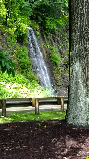 Fishing Area «Kinzua Dam», reviews and photos