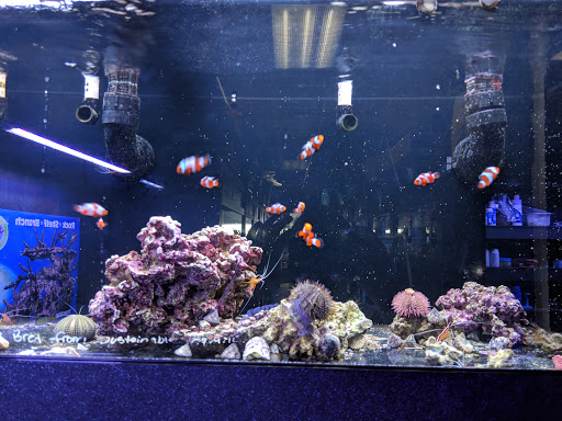 Tropical Fish Store «Aquarium Adventure», reviews and photos, 744 E Boughton Rd, Bolingbrook, IL 60440, USA