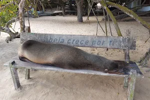 Playa Isabela image