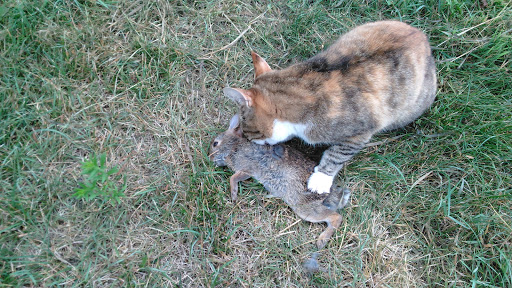 Glanzberg Veterinary Hospital image