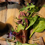 Photo n° 4 de l'avis de Aziza.a fait le 06/04/2024 à 07:55 pour Smokey à Lyon