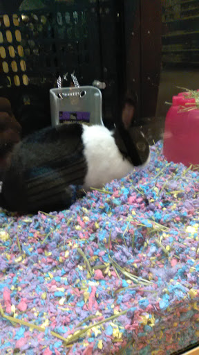 Pet Supply Store «PetSmart», reviews and photos, 310 NJ-36, West Long Branch, NJ 07764, USA