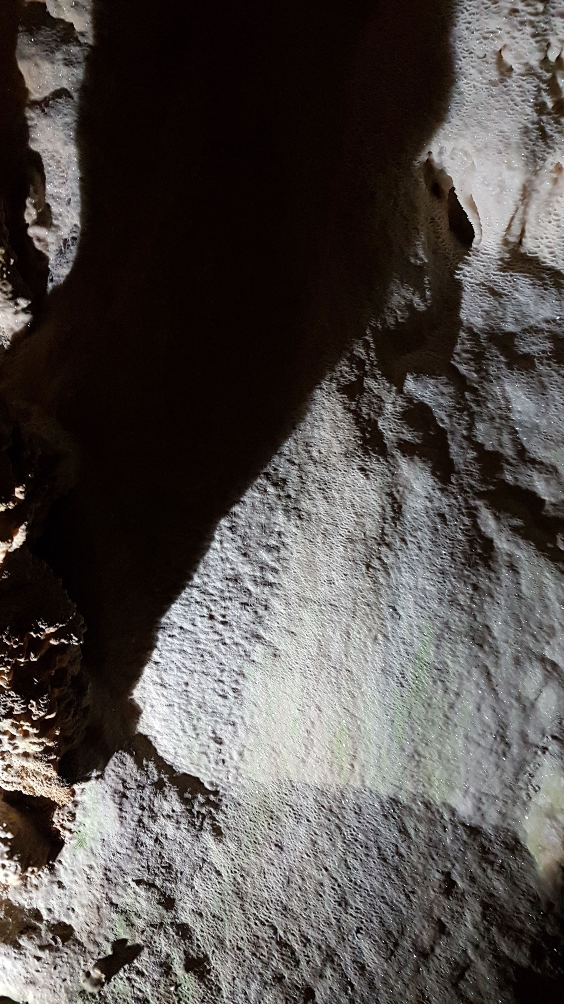 Photo n° 6 de l'avis de Philippe.l fait le 01/08/2018 à 20:49