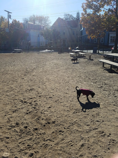 Park «Nunziato Field Dog Park», reviews and photos, Putnam St, Somerville, MA 02143, USA