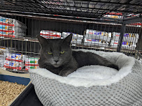 Western Farm Center - Photo 4 - Car repair in Santa Rosa, CA, Santa Rosa