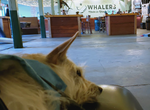 Brewery «Whalers Brewing Company», reviews and photos, 1174 Kingstown Rd, Wakefield, RI 02879, USA