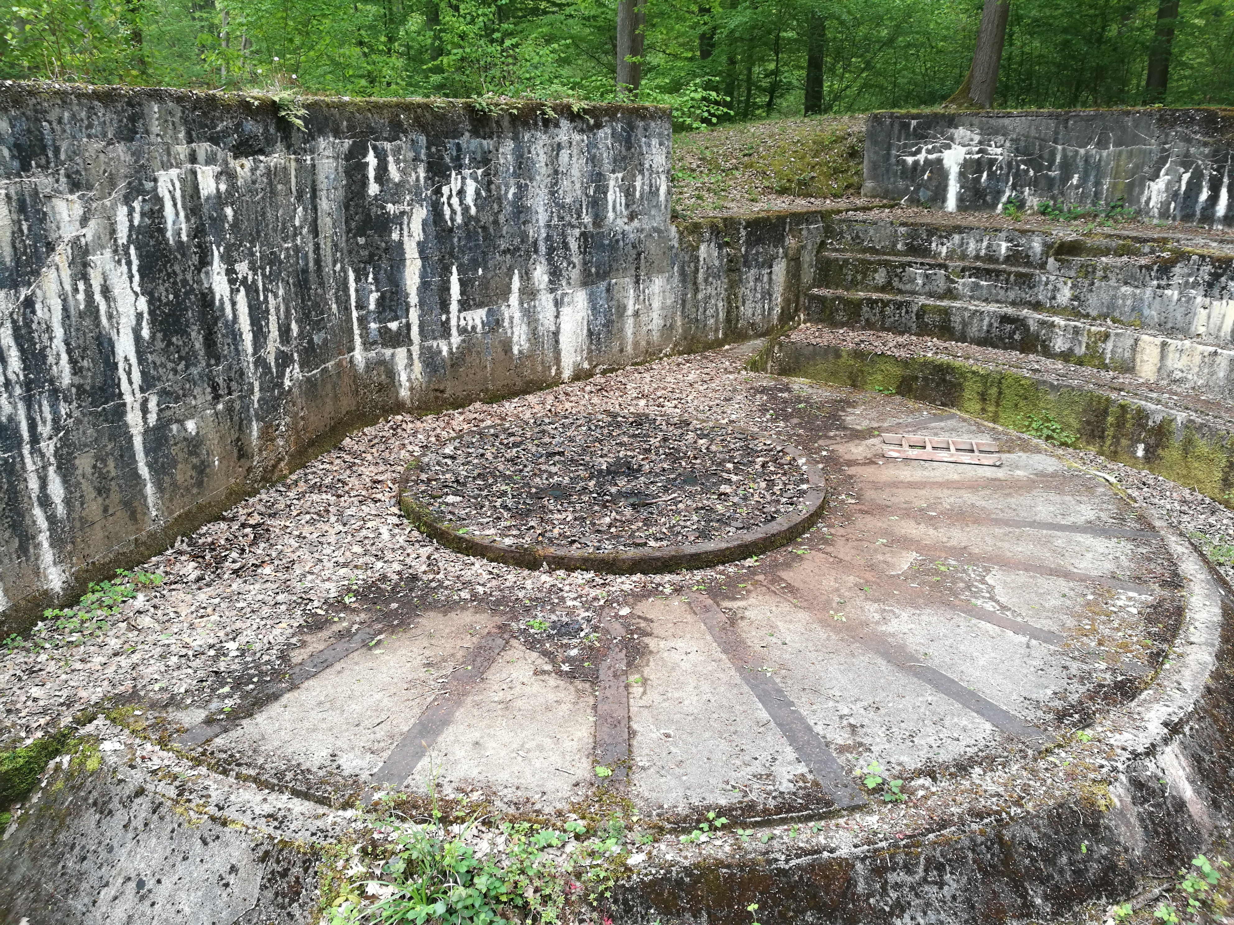 Photo n° 1 de l'avis de Piriou.o fait le 03/05/2019 à 16:45