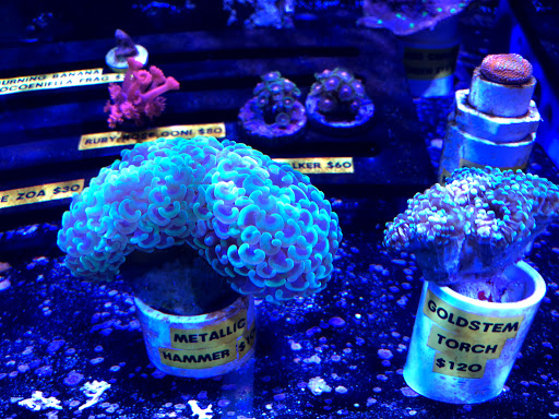 Pet Supply Store «Pets Plus», reviews and photos, 123 Nashua Rd #7, Londonderry, NH 03053, USA