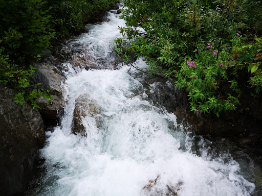 National Park «Wrangell-St. Elias National Park & Preserve», reviews and photos