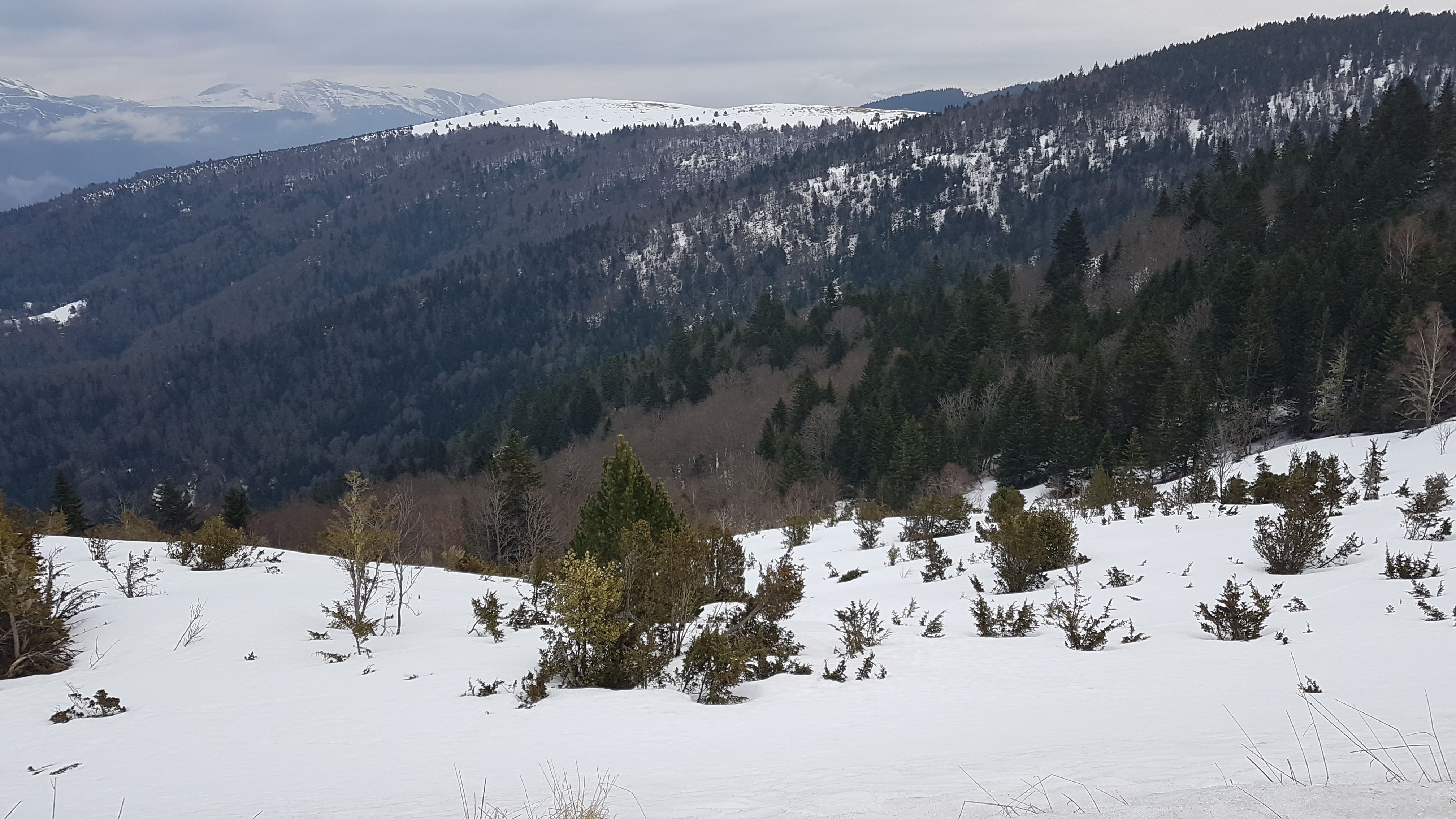Photo n° 7 de l'avis de Frédéric.e fait le 11/02/2022 à 22:46