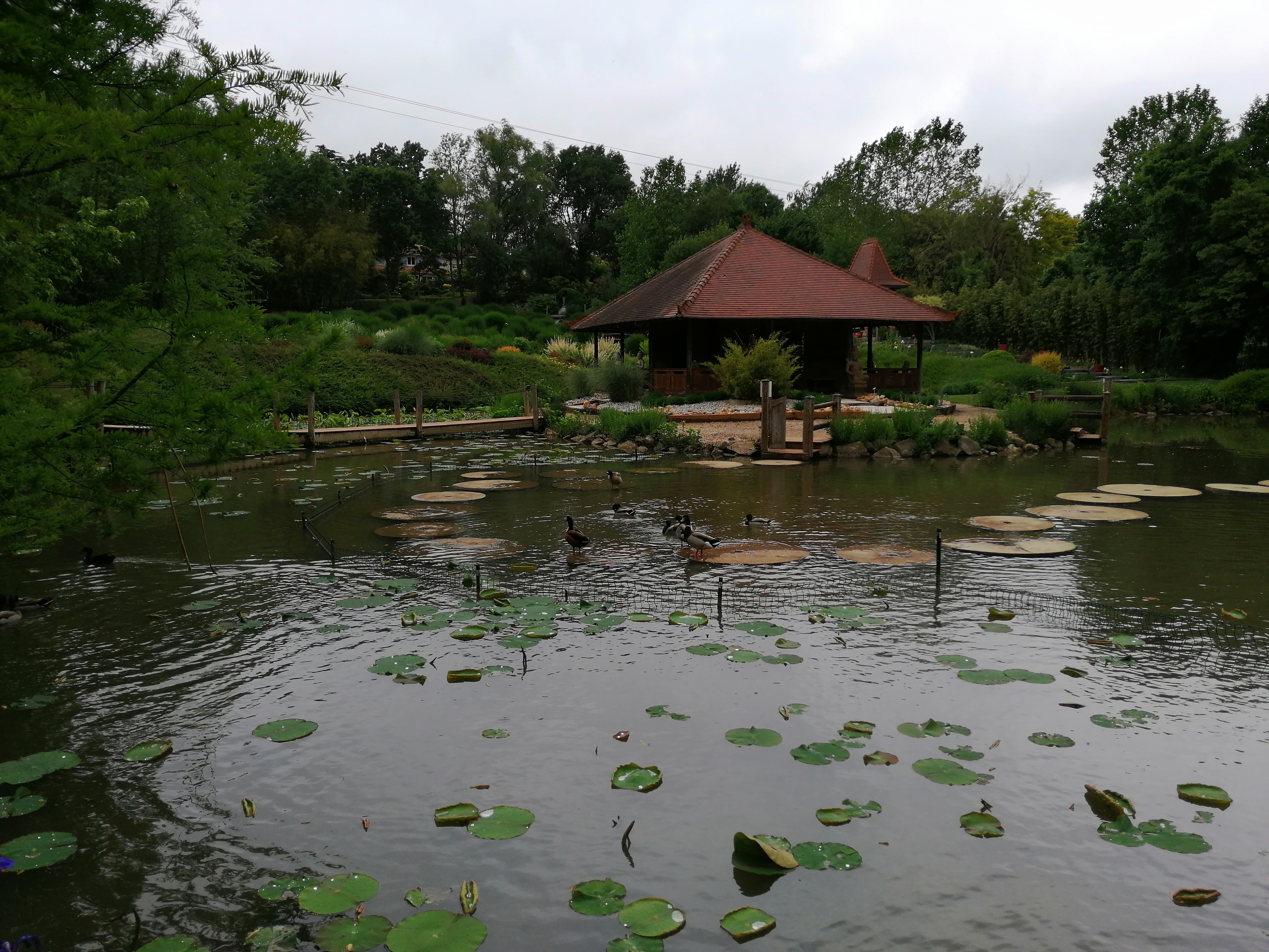 Photo n° 12 de l'avis de Vince.w fait le 26/05/2019 à 14:48