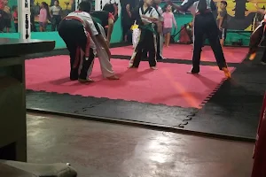 Kenpo Karate Palin image