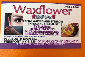 Waxflower spa, Eyebrows Threading image
