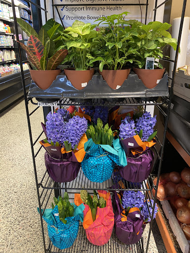 Natural Foods Store «Natural Market», reviews and photos, 140 7th St, Garden City, NY 11530, USA