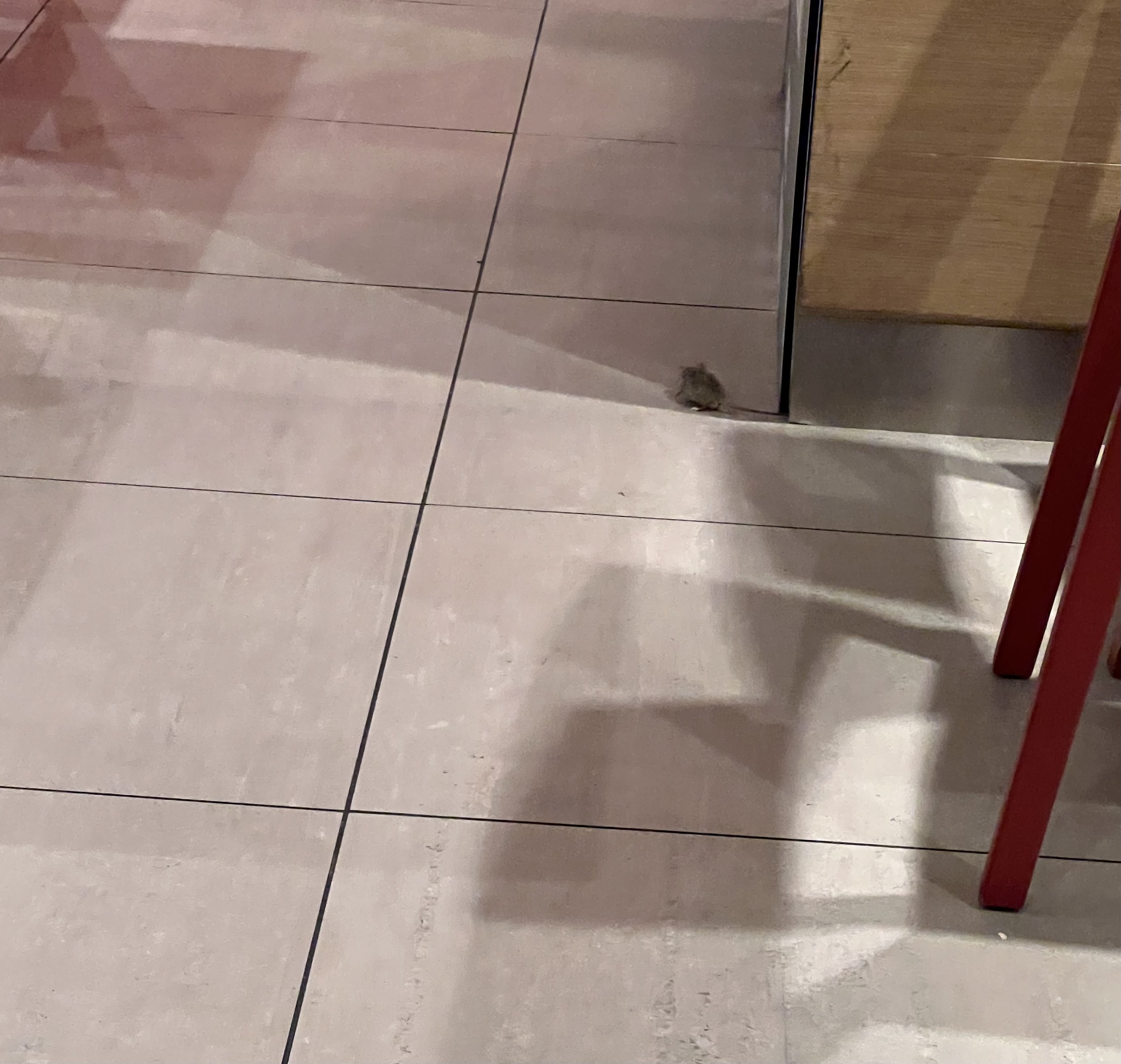 Photo n° 2 de l'avis de Le.e fait le 19/11/2023 à 13:53
