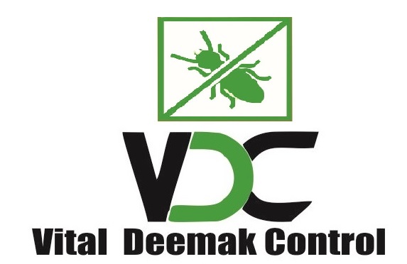 Vital Deemak (Termite) Control