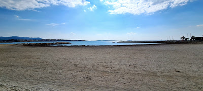 Foncia Transaction Six-Fours-les-Plages Cap Vert à Six-Fours-les-Plages