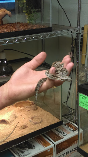 Last Place on Earth Pet Store, 1461 E Franklin Blvd, Gastonia, NC 28054, USA, 