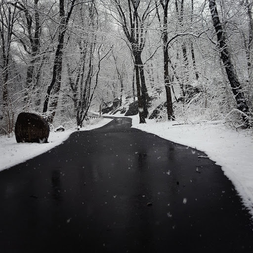 Park «Seton Falls Park», reviews and photos, E 233rd St, Bronx, NY 10466, USA