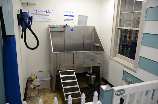 Pet Groomer «Blue Ribbon Dog Grooming LLC Anderson», reviews and photos, 5038 S Scatterfield Rd, Anderson, IN 46013, USA