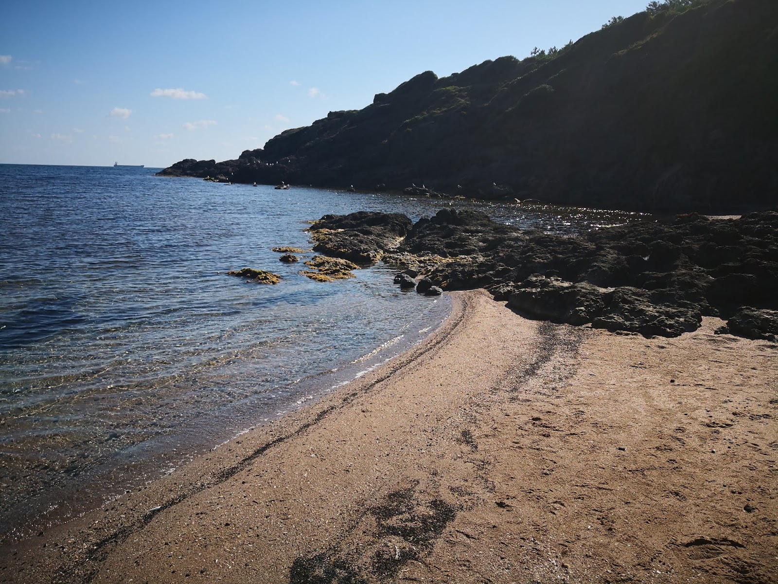 Zdjęcie Sebastian beach z poziomem czystości niski