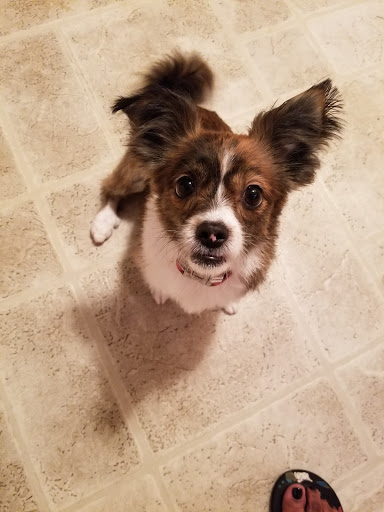 Pet Supply Store «Petco Animal Supplies», reviews and photos, 816 Washington St, Middletown, CT 06457, USA