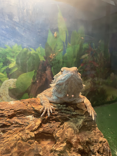 Pet Store «Pet Pro», reviews and photos, 1606 NY-82, Lagrangeville, NY 12540, USA