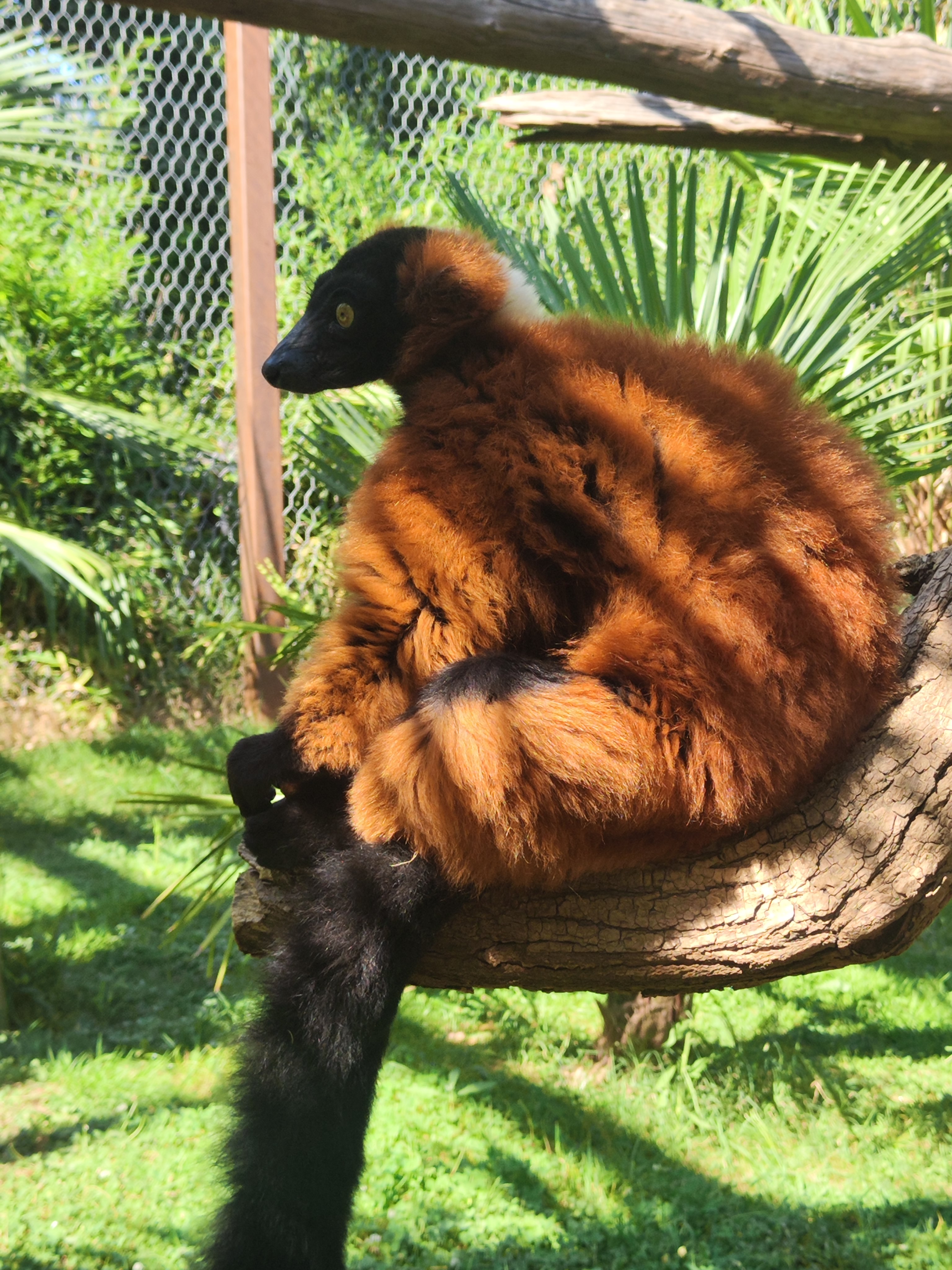 Photo n° 2 de l'avis de Audrey.a fait le 16/08/2023 à 08:01