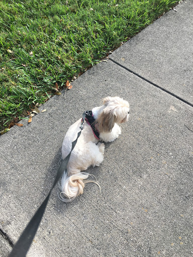 Golf Club «Pinebrook Ironwood Golf Course», reviews and photos, 4260 Ironwood Cir, Bradenton, FL 34209, USA