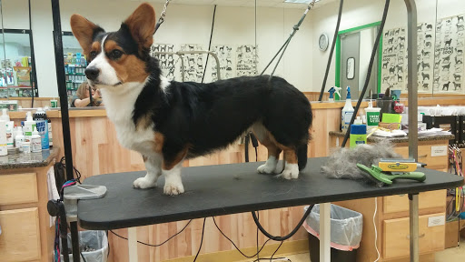 Pet Supply Store «Pet Supplies Plus», reviews and photos, 4751 Hiawatha Ave, Minneapolis, MN 55406, USA