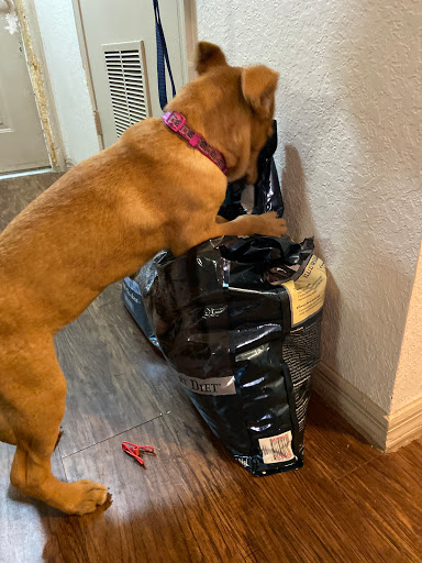 Pet Supply Store «PetSmart», reviews and photos, 4550 W Lake Mary Blvd, Lake Mary, FL 32746, USA