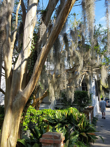 Coffee Shop «Common Ground Coffee House», reviews and photos, 102 W Street Ext, Beaufort, SC 29902, USA