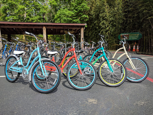 Bicycle Store «Shrewsbury Bicycles», reviews and photos, 765 Broad St, Shrewsbury, NJ 07702, USA