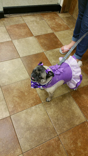 Pet Supply Store «PetSmart», reviews and photos, 9122 Mentor Ave, Mentor, OH 44060, USA