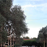 Photo n°2 de l'avis de Angelo.o fait le 18/06/2023 à 07:18 sur le  Centro Turistico Piccolo Ranch à Pula