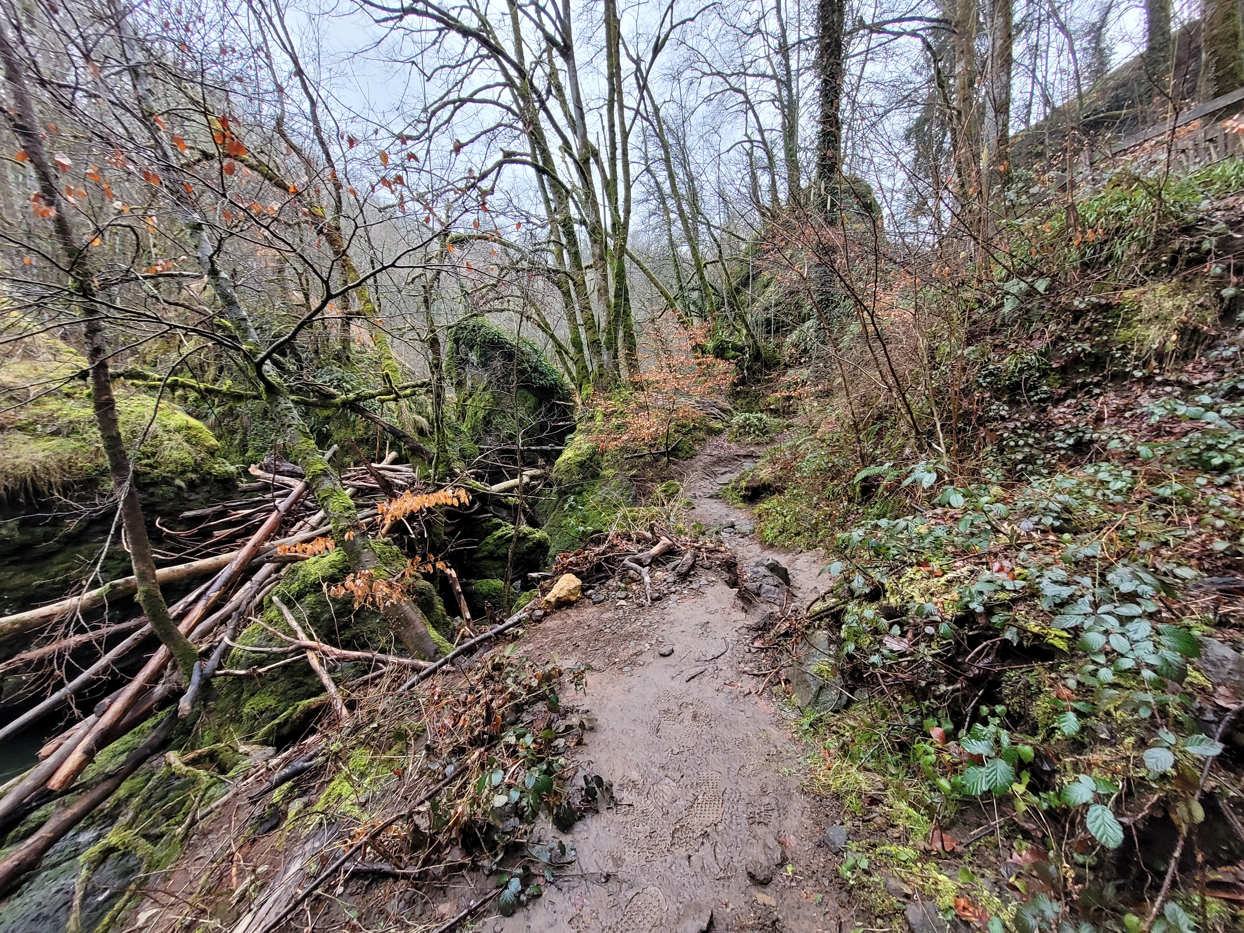 Photo n° 5 de l'avis de Clacla.u fait le 10/02/2024 à 03:26