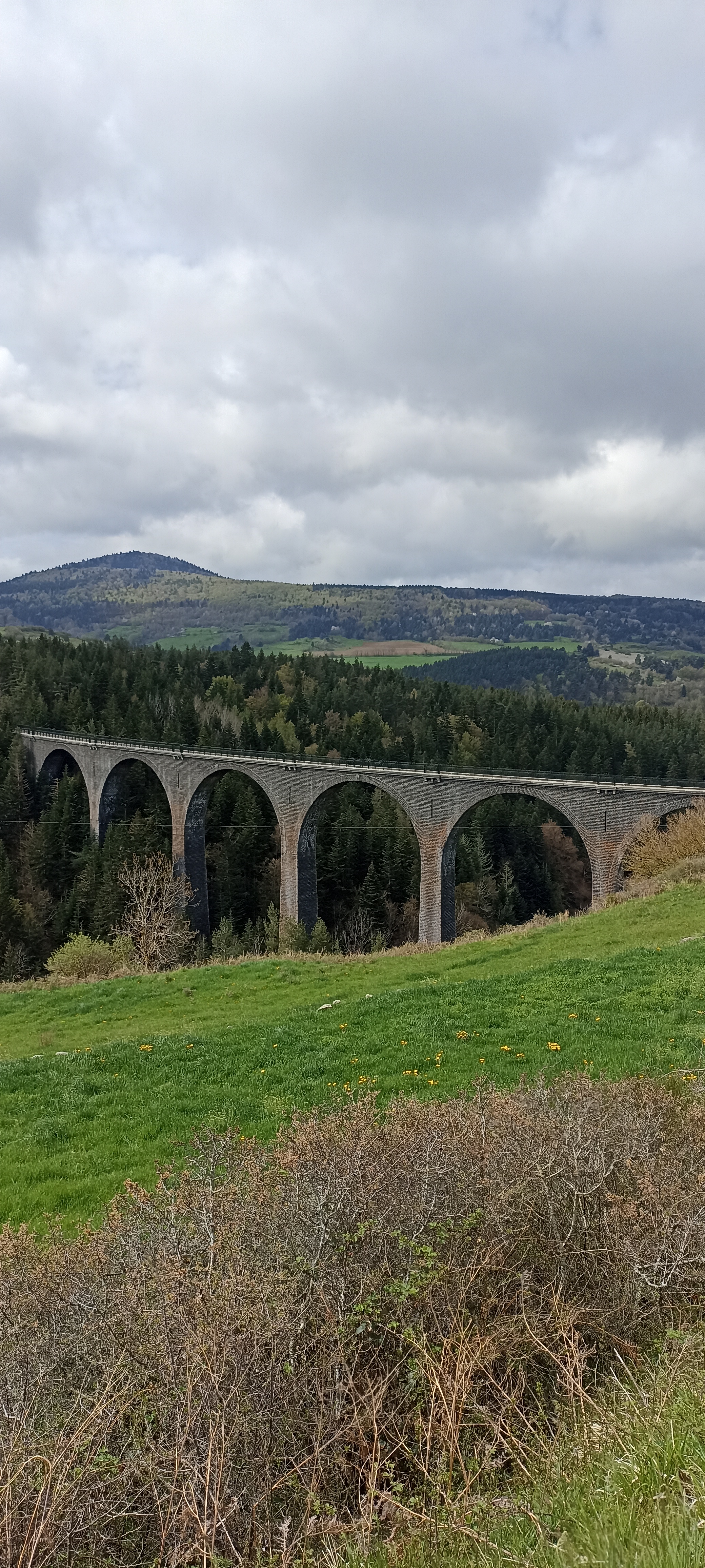 Photo n° 3 de l'avis de Laurence.e fait le 30/04/2023 à 18:41