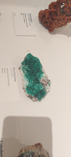 Museum «Peabody Museum of Archaeology and Ethnology», reviews and photos, 11 Divinity Ave, Cambridge, MA 02138, USA