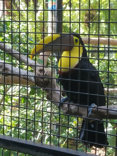 Tourist Attraction «Busch Gardens Main Entrance», reviews and photos, 9449 N 40th St, Tampa, FL 33617, USA