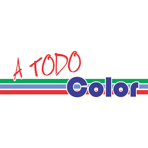 Comentarios y opiniones de A TODO COLOR PINTURERIA