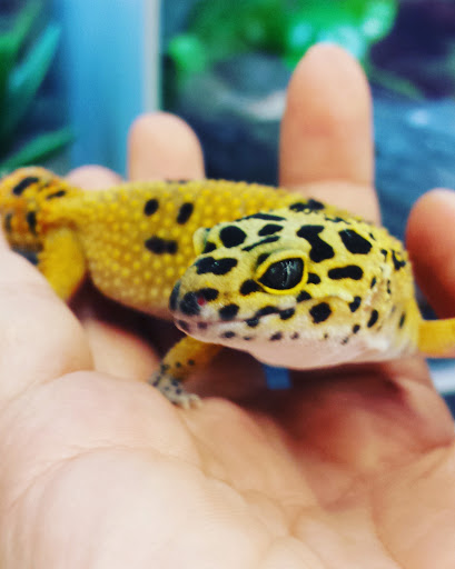 Pet Supply Store «Petco Animal Supplies», reviews and photos, 4751 W 29th St, Greeley, CO 80634, USA