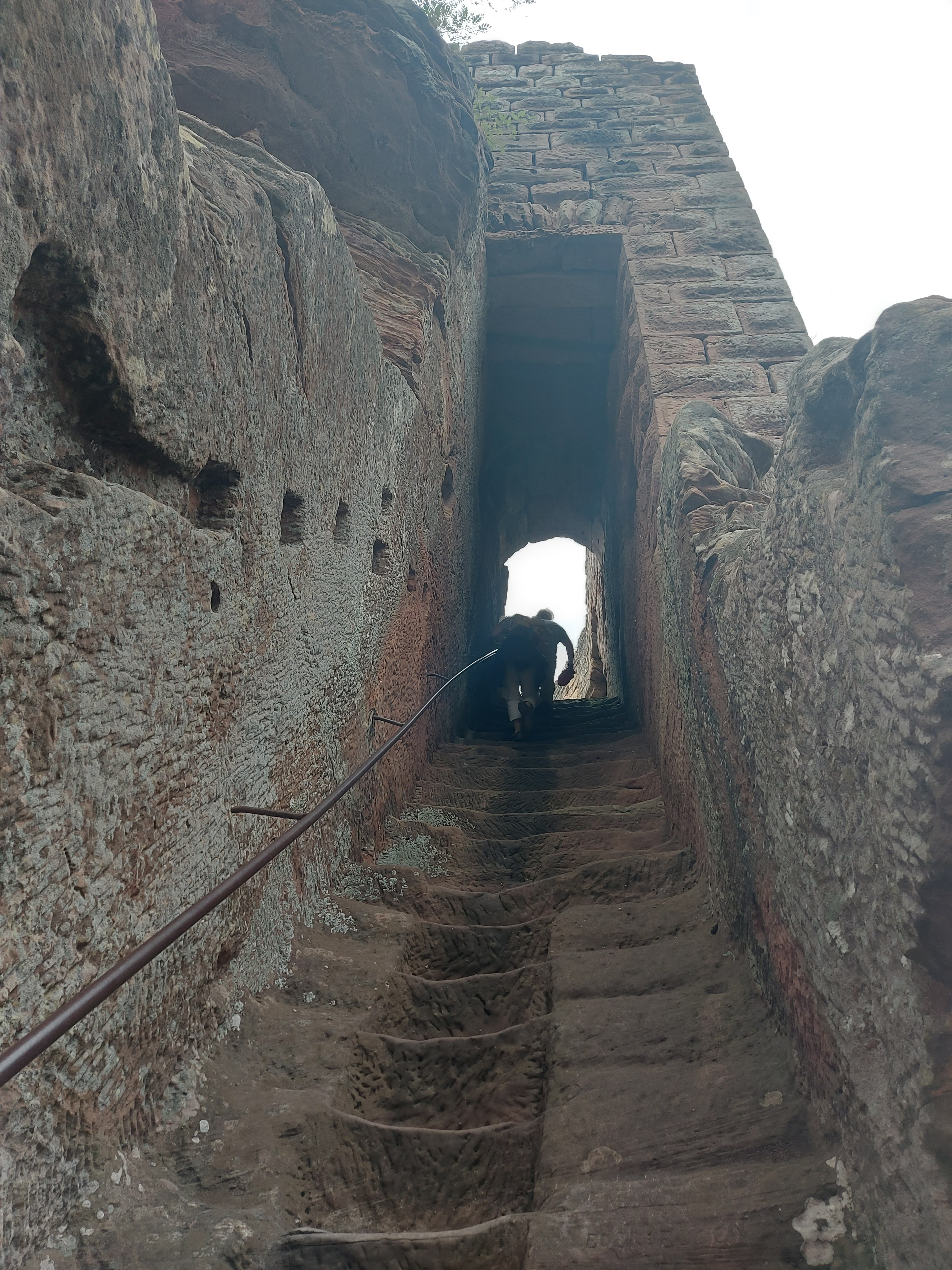 Photo n° 2 de l'avis de Marie-Luise.e fait le 04/09/2023 à 13:59