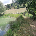 Photo n°5 de l'avis de sergio.i fait le 26/07/2020 à 14:04 sur le  Agriturismo Mogginano à Pieve Santo Stefano