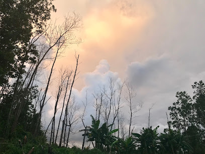 Taman Telupid Villa