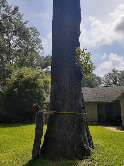Above & Beyond Tree Service