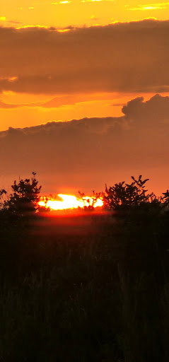 Tourist Attraction «Miccosukee Indian Village», reviews and photos, 500 US-41, Miami, FL 33194, USA