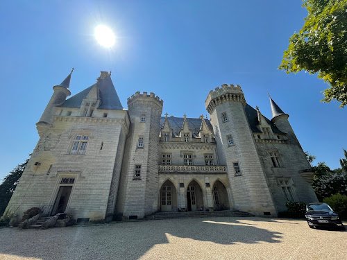 Château de Pitray à Gardegan-et-Tourtirac