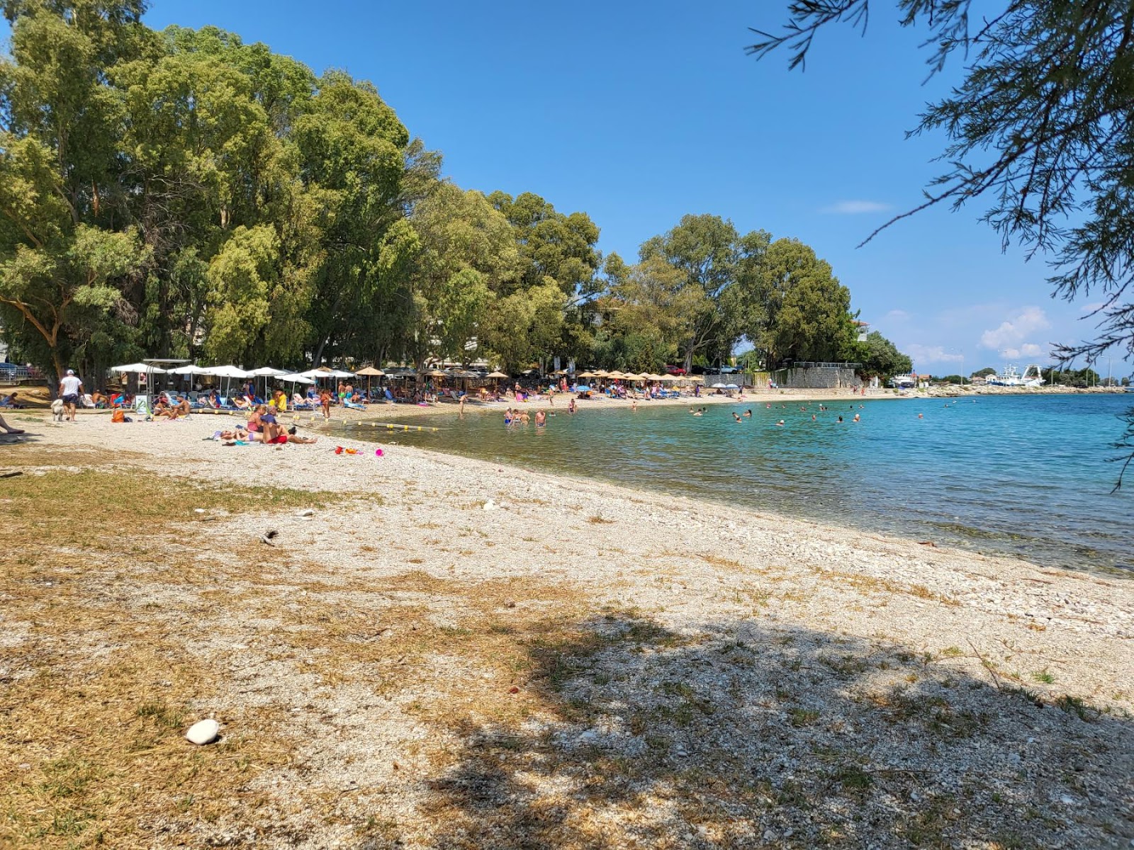 Lygia Beach'in fotoğrafı - rahatlamayı sevenler arasında popüler bir yer