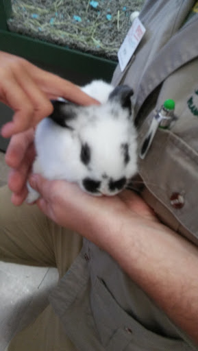 Pet Store «Petland Vineyard - San Antonio», reviews and photos, 1309 North Loop 1604 W #101, San Antonio, TX 78258, USA