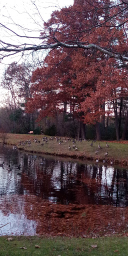 Park «Endicott Park (Town of Danvers)», reviews and photos, 57 Forest St, Danvers, MA 01923, USA